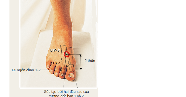 Massage chân đúng cách sẽ giúp thải độc gan tốt cho dạ dày