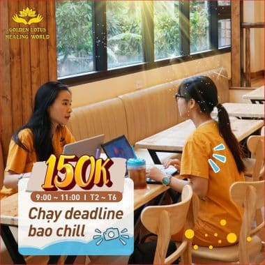 Địa Điểm Chạy Deadline Bao Chill Tại Golden Lotus